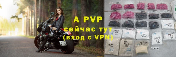 твердый Дмитриев