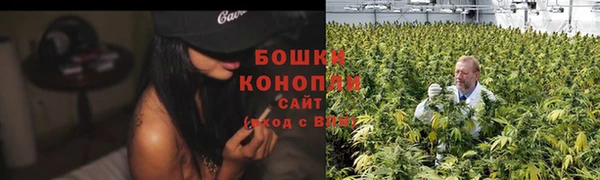 стафф Дмитровск