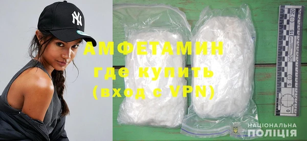 гашик Дмитров