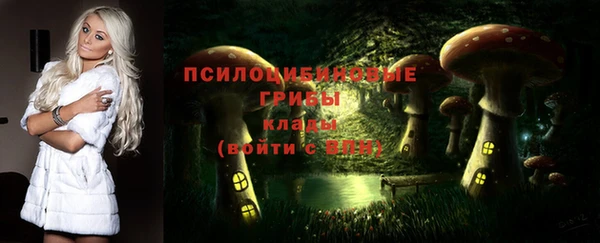 дмт Елабуга