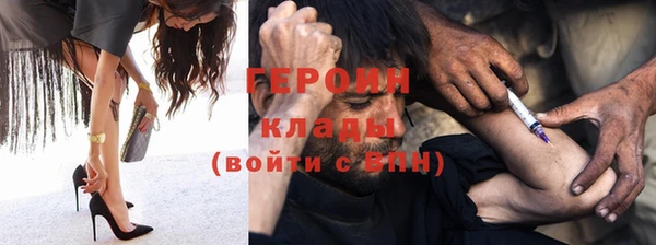 гашик Дмитров