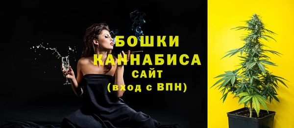 гашик Дмитров