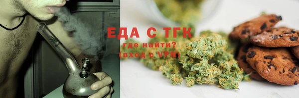 гашик Дмитров