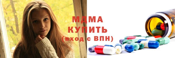 гашик Дмитров