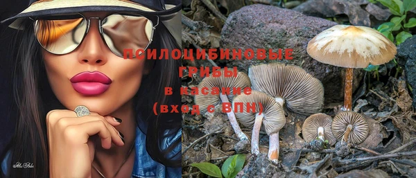 стафф Дмитровск