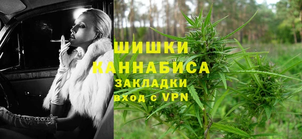 гашик Дмитров