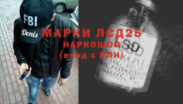 гашик Дмитров
