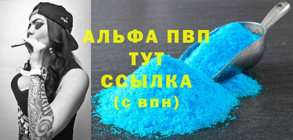 гашик Дмитров