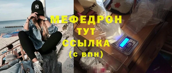 гашик Дмитров